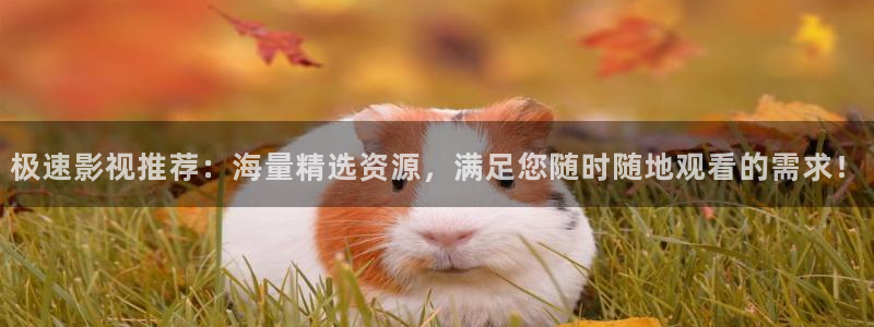 av金桔影院：极速影视推荐：海量精选资源，满足您随时随地观看的需求！