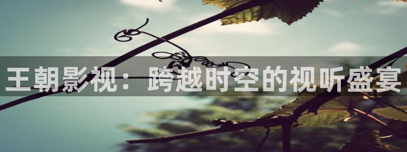 金桔 影视：王朝影视：跨越时空的视听盛宴