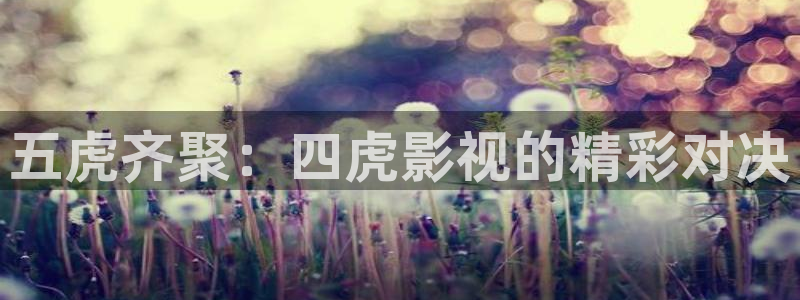金桔电影：五虎齐聚：四虎影视的精彩对决